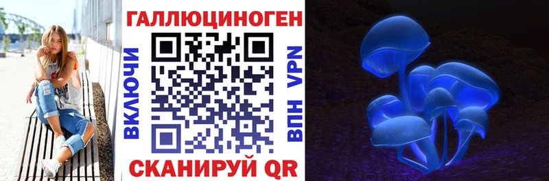 Псилоцибиновые грибы мухоморы купить закладку Кинешма